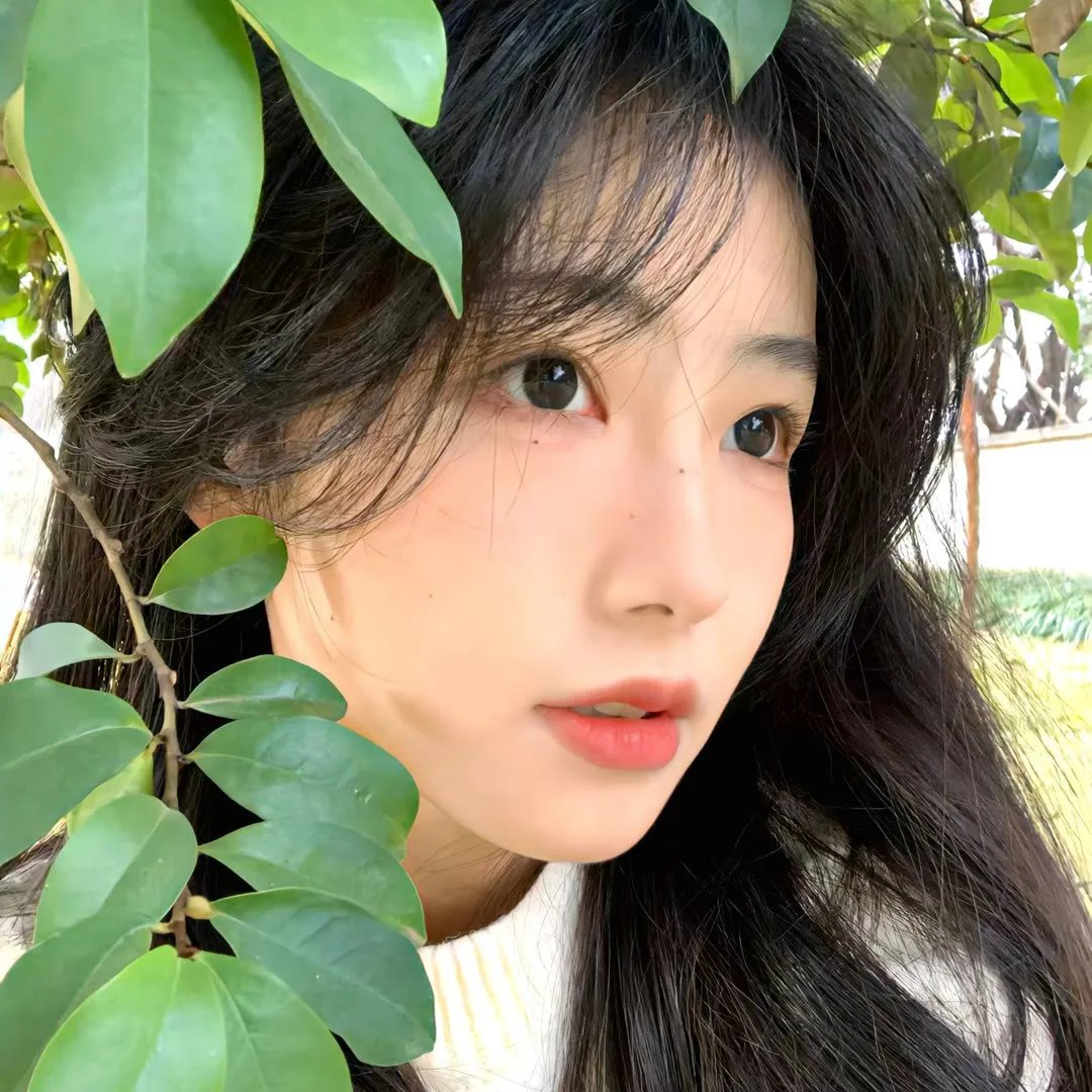 风流夜合花